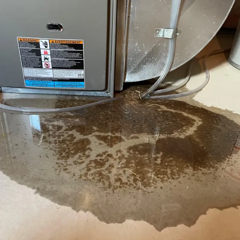 Appliance Leak Cleanup in Seminole, TX